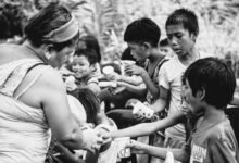 customer support hotline number