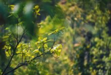 energy stocks poised for growth