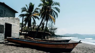 invest now for big gains