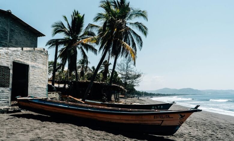 invest now for big gains