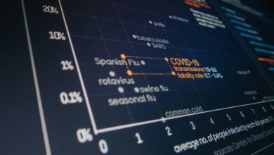 dataset identification and report