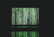 reveal authentic data request