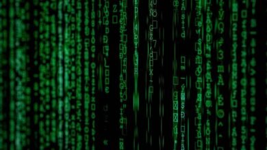 reveal background information requested